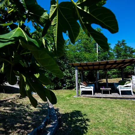 208 - Quercia, Giardino E Piscina - Cherry House Apartament